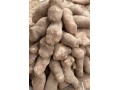 yams-for-sale-small-0