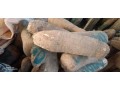 yams-for-sale-small-4