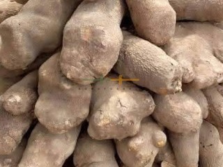 yams-for-sale