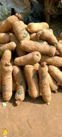 yams-for-sale-big-2