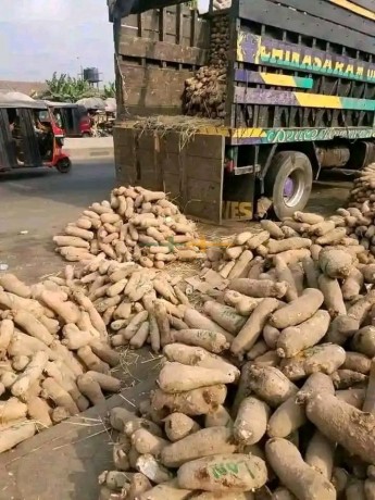 yams-for-sale-big-1