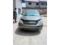 0304-painted-corolla-small-0