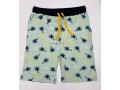 knee-length-shorts-for-boys-small-3